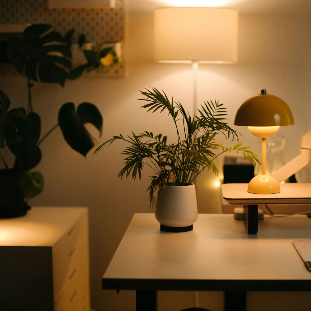 Professional cleaning services for homes and businesses in Martinez, Walnut Creek, San Ramon, and nearby areas.