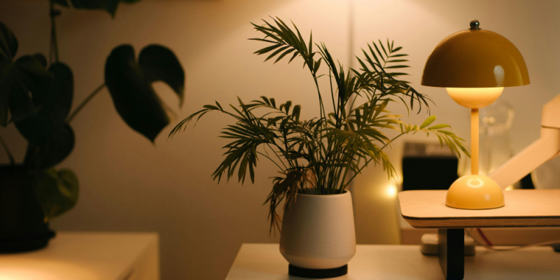 Professional cleaning services for homes and businesses in Martinez, Walnut Creek, San Ramon, and nearby areas.